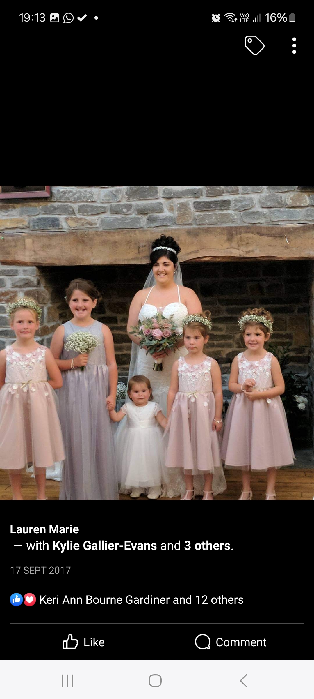 Wedding group photo 