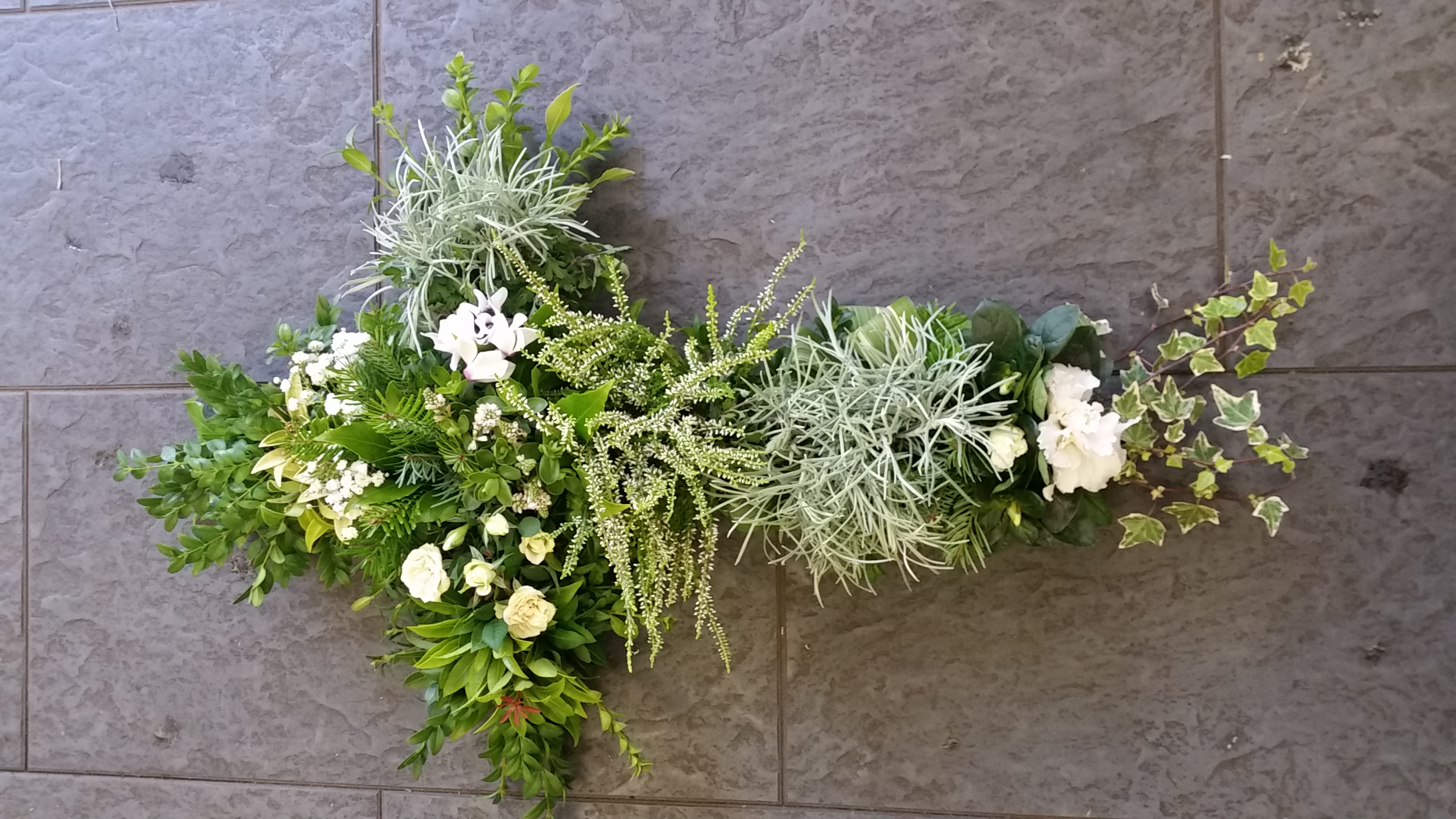 foliage/plant cross