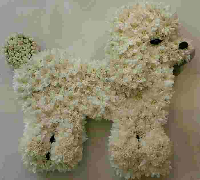 Poodle