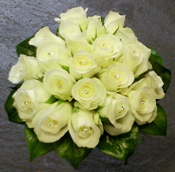 A compact bridal tie Avalanch