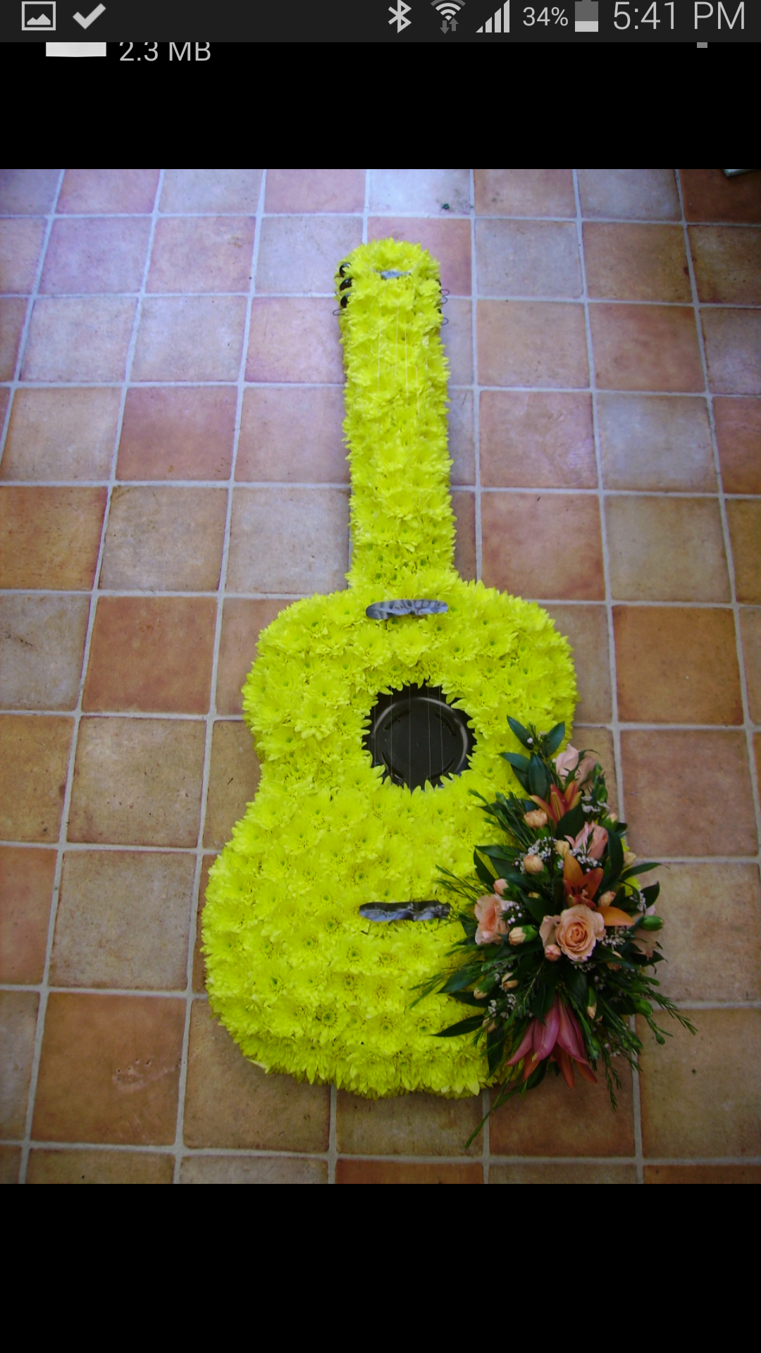 Guitar