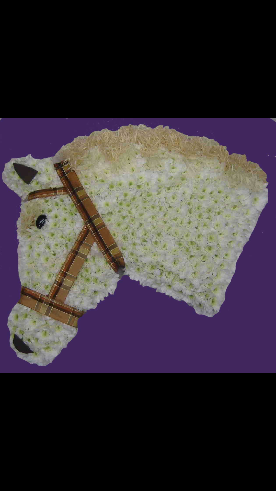 White horses head
