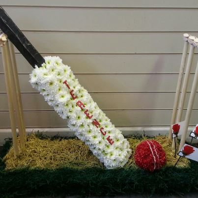 Cricket pitch