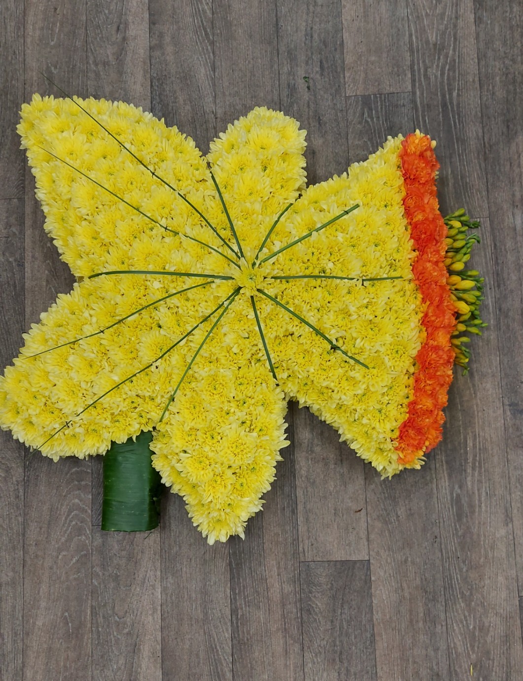 Daffodil