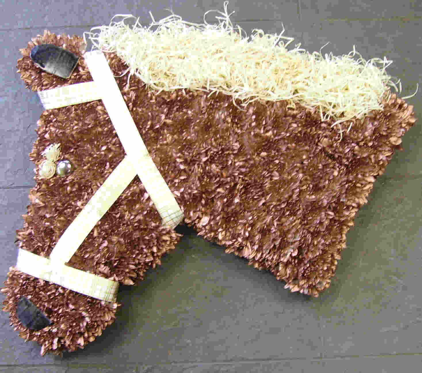 Horses Head