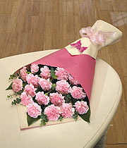 Carnation and foliage bouquet