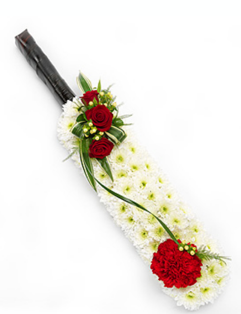 Cricket bat and ball
