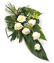 Six Cream Rose Sheaf
