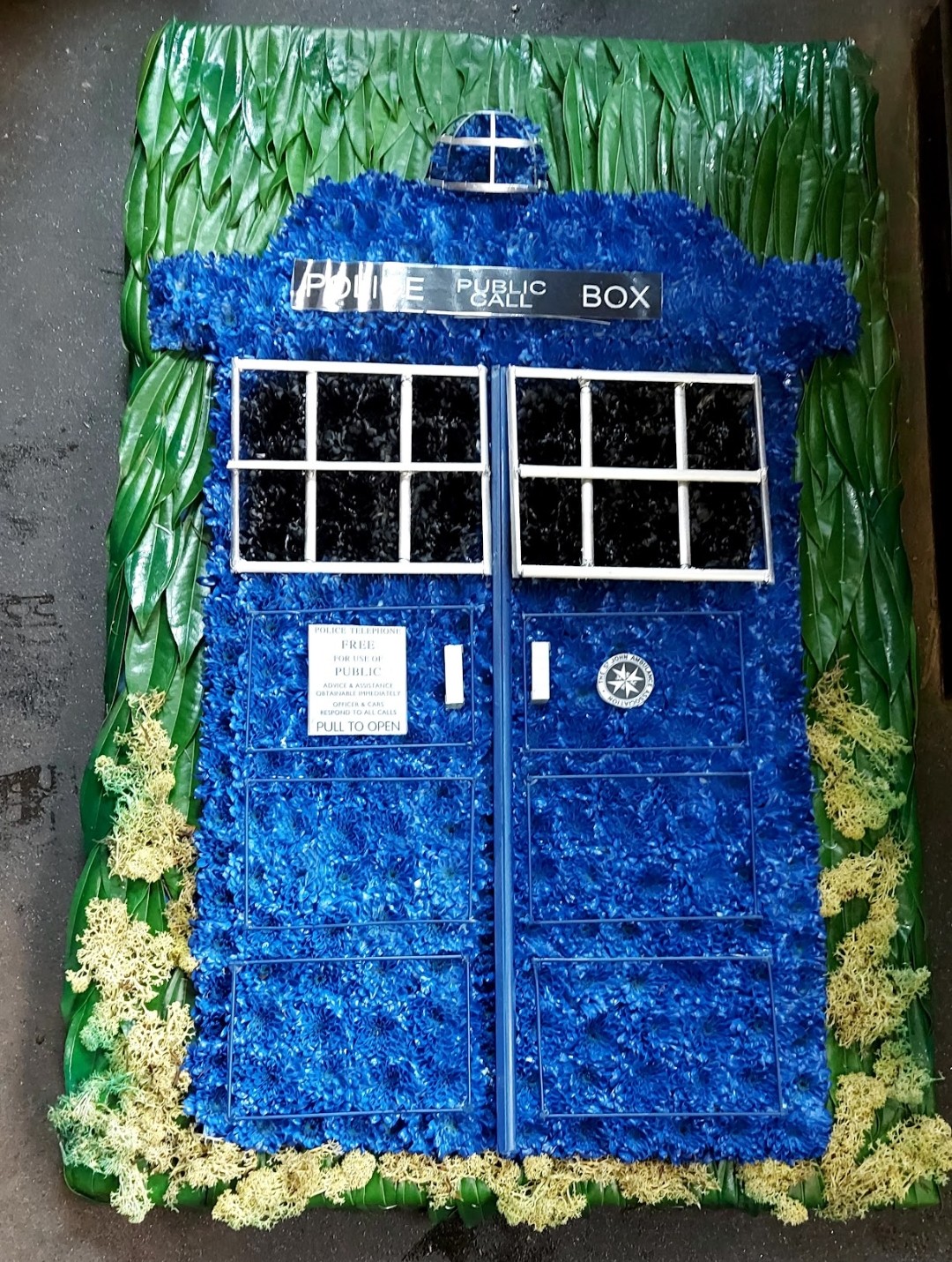 Flat Dr who tardist
