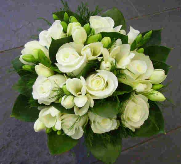 Hand-tied Posy