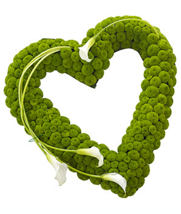 Green button based open heart