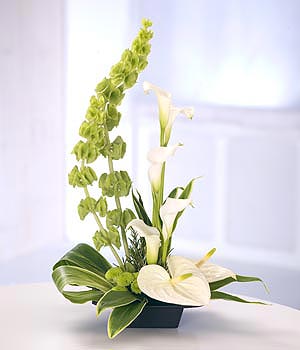 Modern Classic Arrangement
