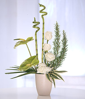 Contemporary Arrangement