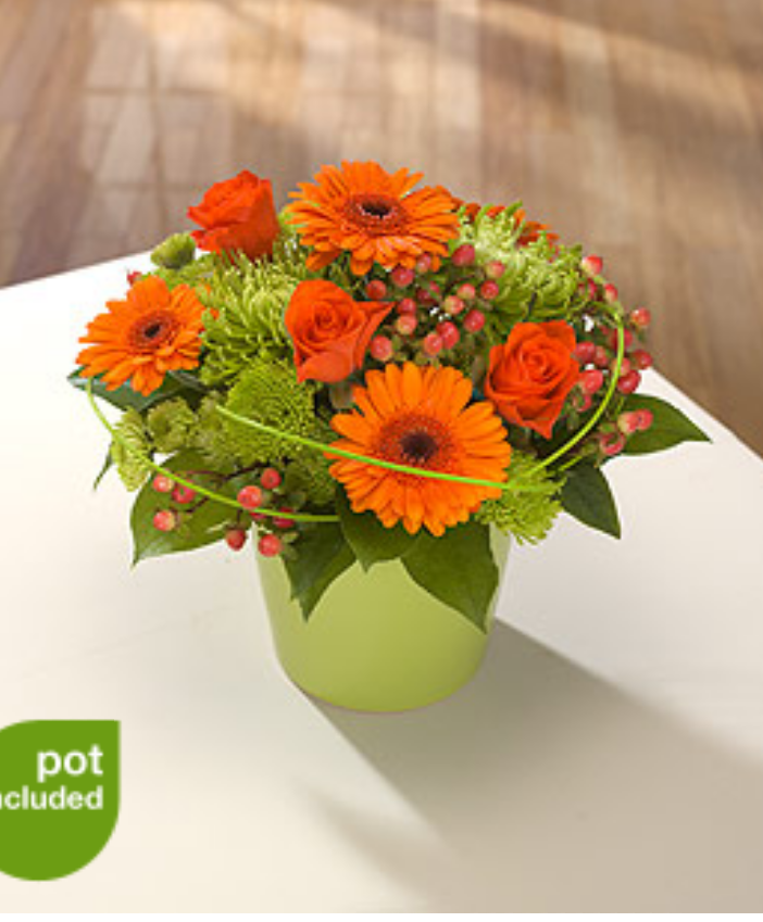 Orange Posy Arrangement
