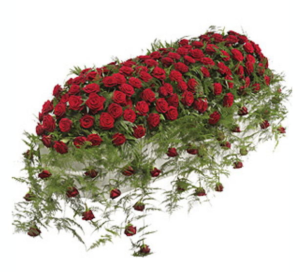 All red rose trailing casket spray
