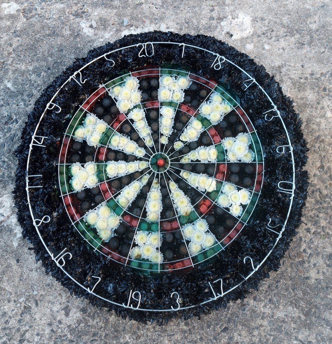 Dart Board