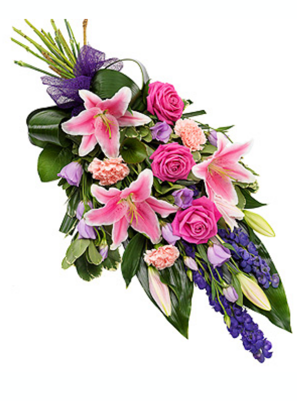 Pink and purple sheaf