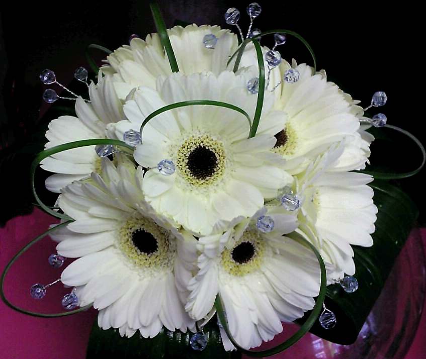 Gerbera Brides Hand-tied