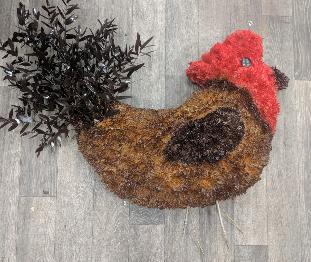 Chicken/Cockerell