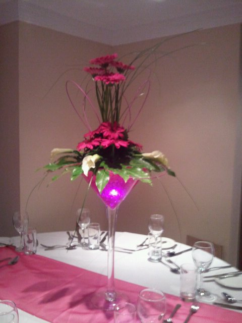 Fuschia Martini Glasses
