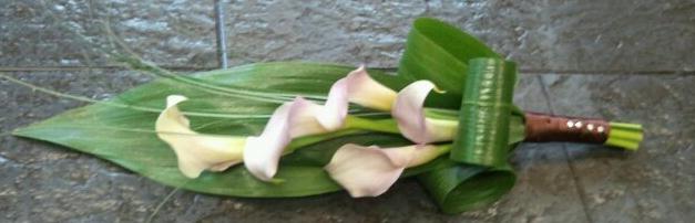 Pink Blush Cala Lily Overarm