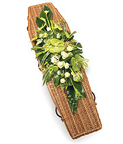 Contemporary Casket Spray Creams/ Greens