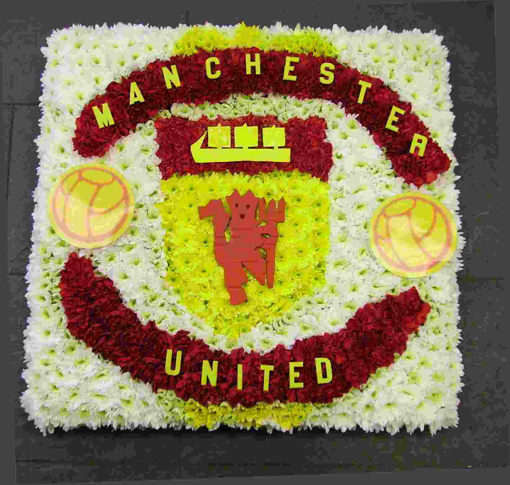 Manchester United Badge