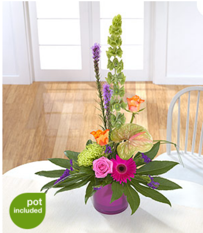 Modern Arrangement