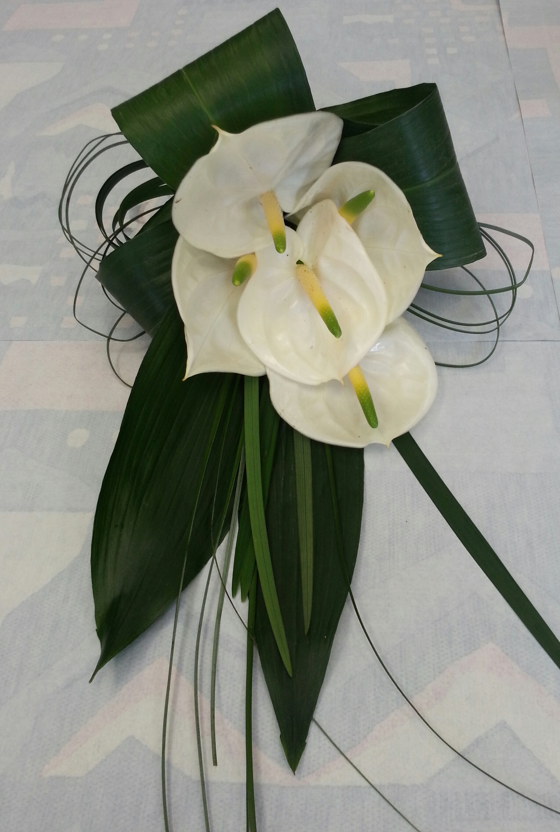 Bridal/bridesmaid anthurrium showsey