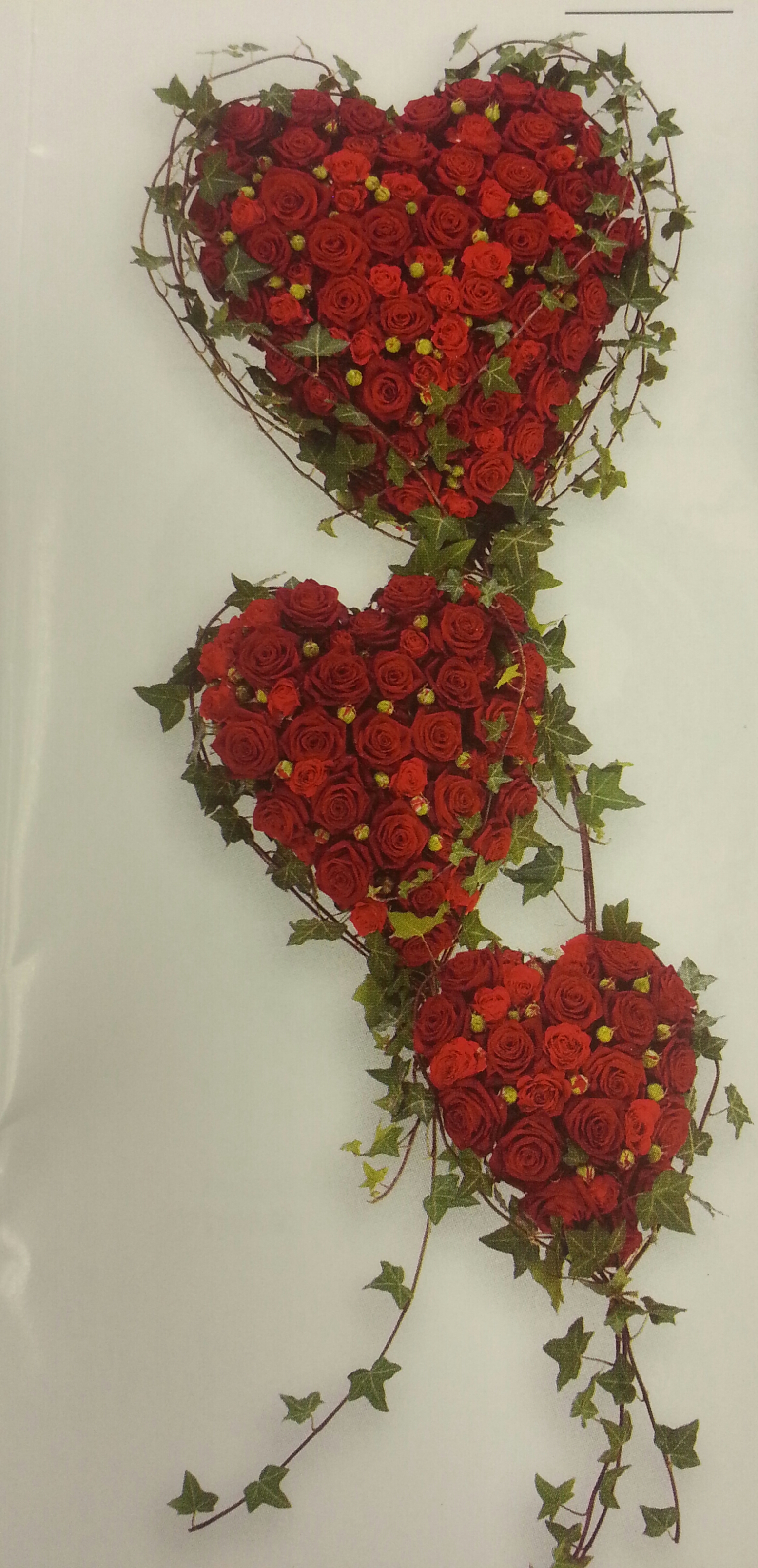 Triple heart tribute