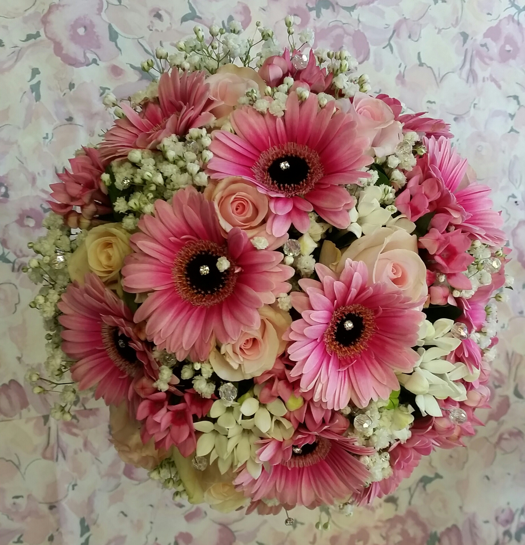 Gerbera and gyp compact